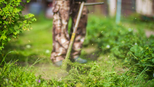 Partnering for Pest-Free Properties: How Tick and Skeeter Deleter Enhances Your Lawn Care Services